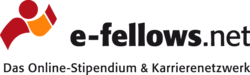 e-fellows.net